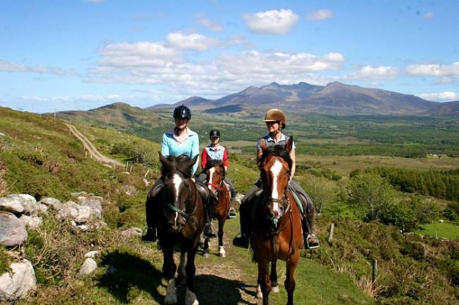 Tatler Jack Bed and Breakfast Killarney Exterior foto